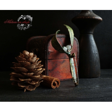 Pendant Mistletoe