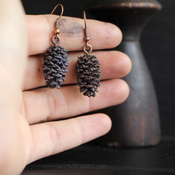 Plated alder cones - earrings