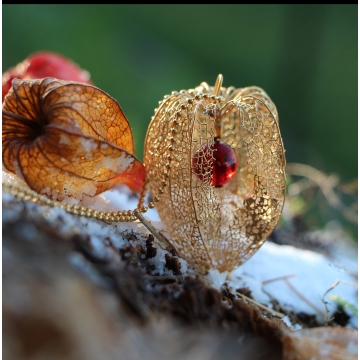 copy of Позолоченный физалис