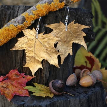 Gilded maple leaf - earrings