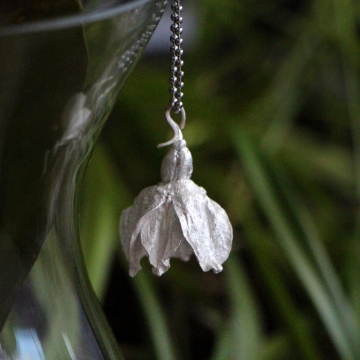 copy of Посеребренный...