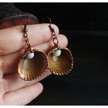 Plated Seashells - earrings
