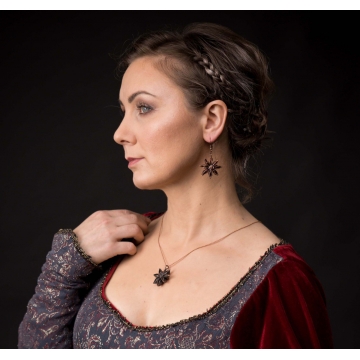 Комплект из звездочек аниса